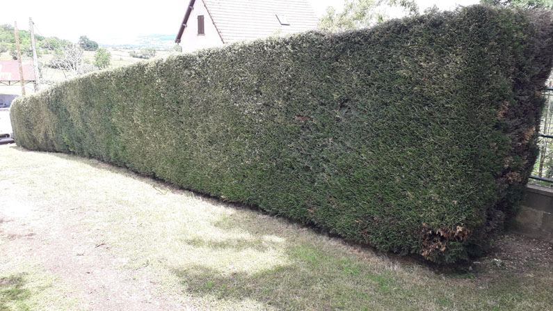 Débroussaillage Semur-en-Auxois