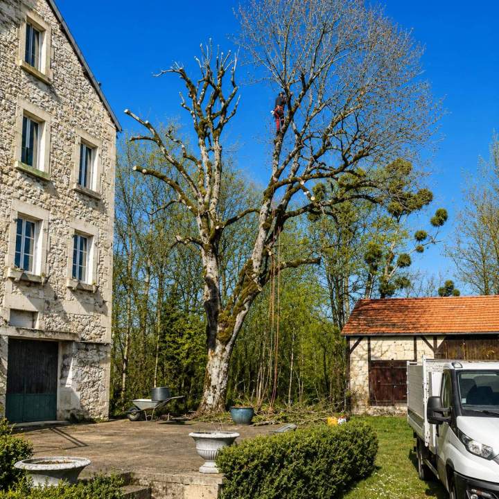 Débroussaillage Montbard