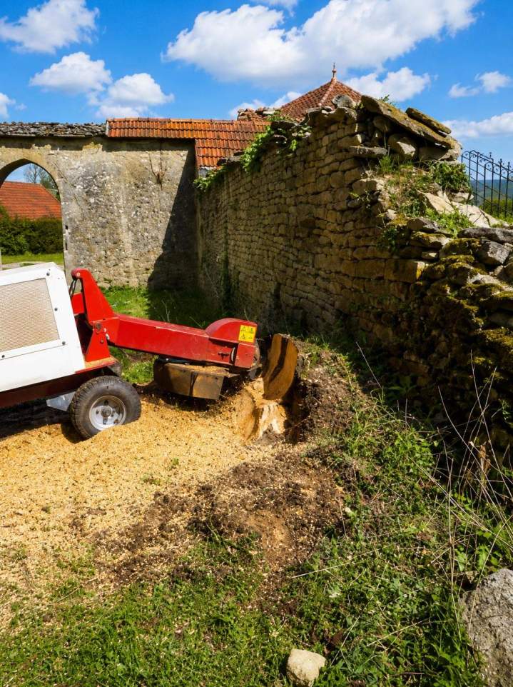 Extraction efficace des racines après une coupe d'arbre.
