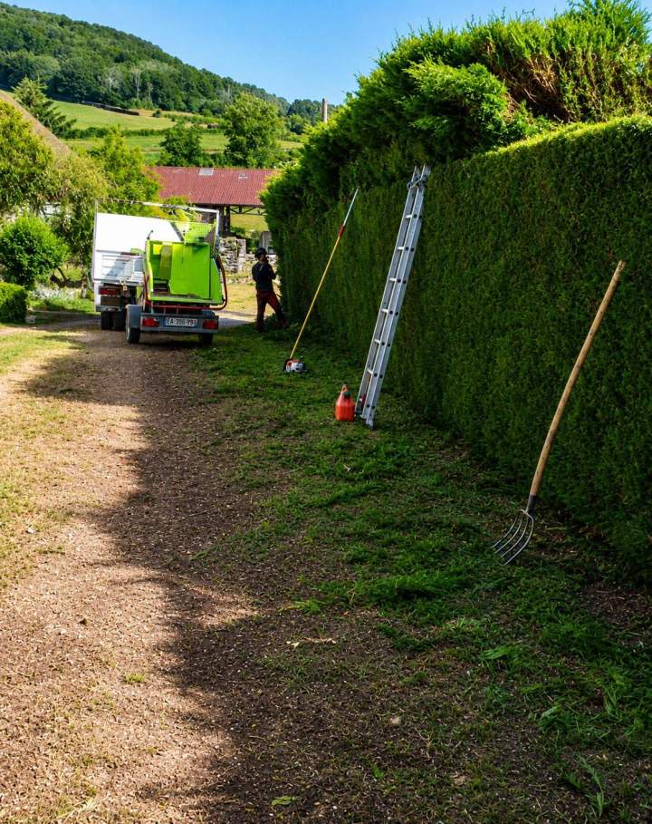 Soin régulier de vos espaces extérieurs et massifs floraux.