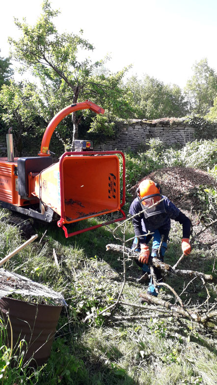 Dessouchage Montbard